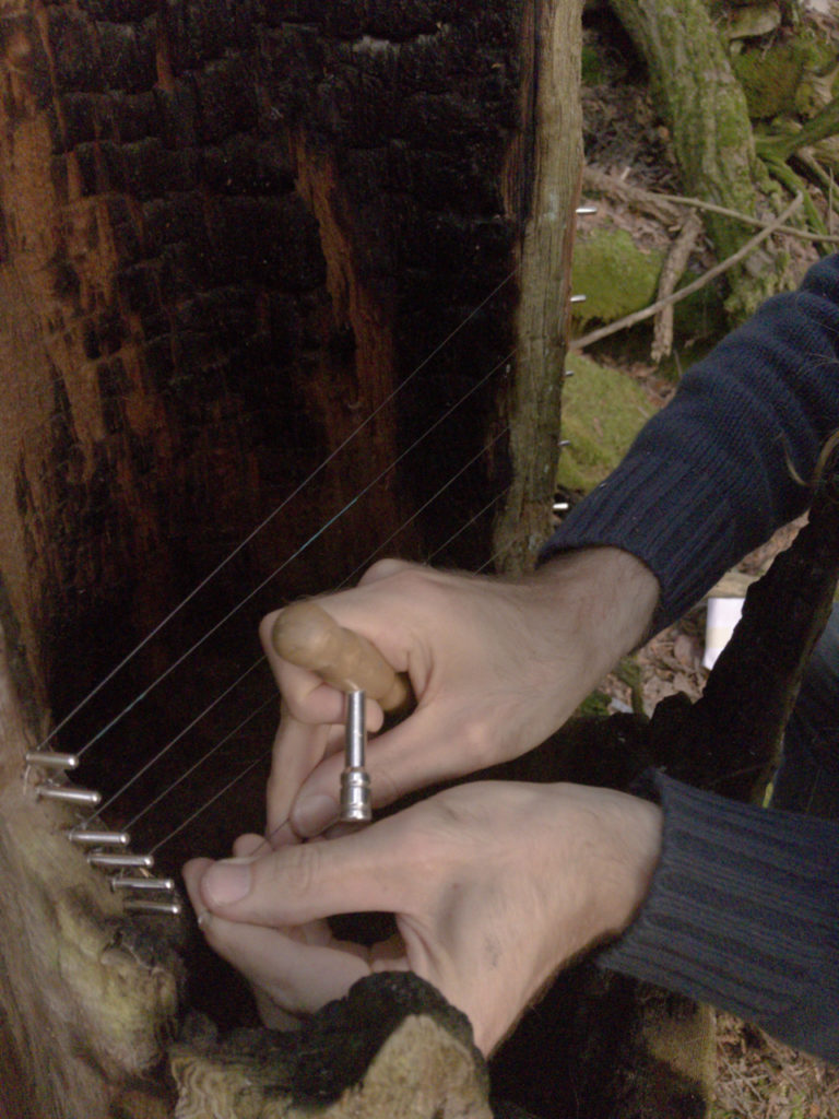 scenery treeharp making6